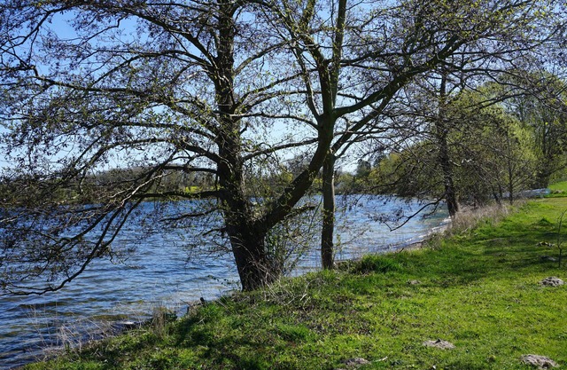 Vacation apartment directly on the Großer Plöner See
