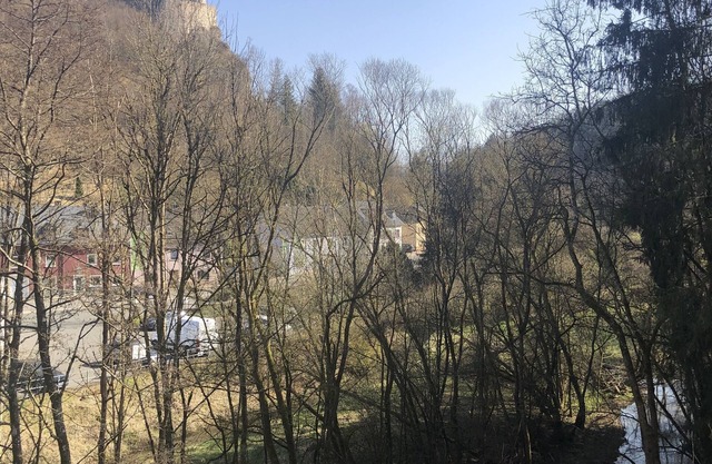 Vacation apartment Haus Schöneck