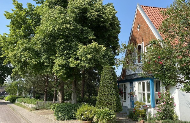 Vacation apartment in central location/town center, quiet one-way street