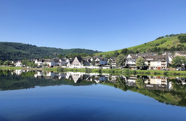 Vacation apartment Moselle vacation in Zell (Moselle)