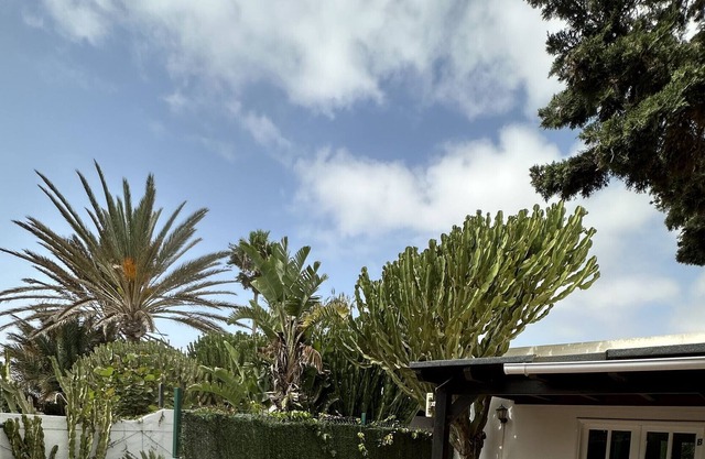 Vacation Apartment 'Majo's Retreat' with Private Terrace and Wi-Fi