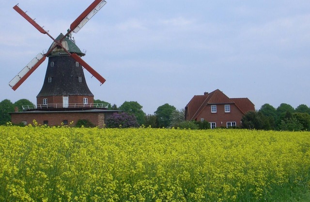 Vacation apartment to the windmill - 11 KW Wallbox
