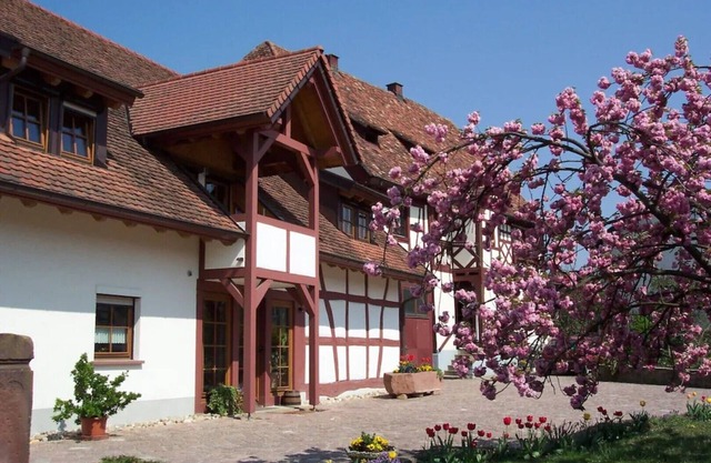 Vacation apartment with 50 square meters - at Gästehaus Kunz in Rust