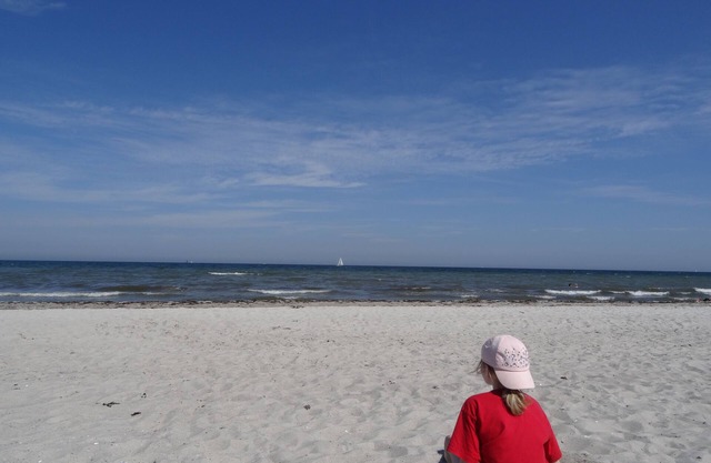 Vacation by the sea in a thatched house: WLAN free, garden, sauna from 2022, fireplace