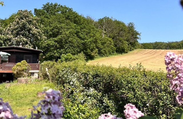 Vacation cottage Neustadt Harz