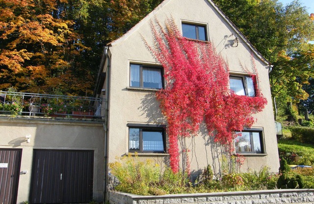 Vacation home for 4 guests with 100m² in Ebersbach-Neugersdorf (111153)