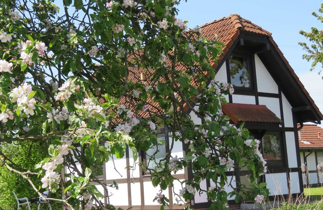 Vacation home 171 Deichgraf 65sqm up to 6 persons with pet - Ferienhaus Deichgraf