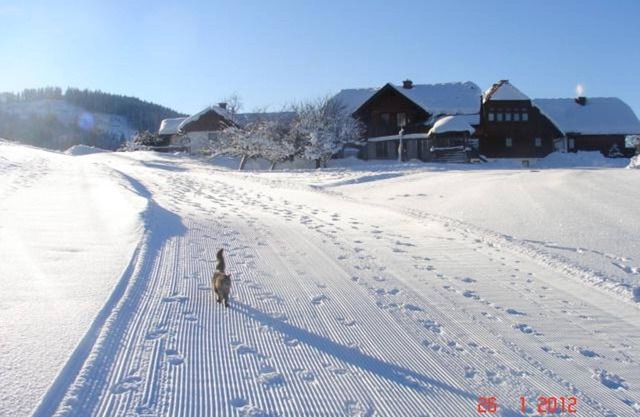 Vacation home 2 - 2 bedrooms, bathroom, separate WC - Hirzhof