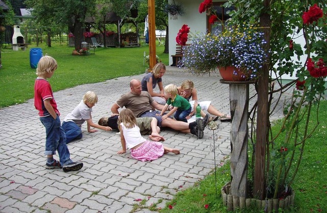Vacation home/3 bedrooms/shower, WC - Maurerwolferl - Family Schwaiger