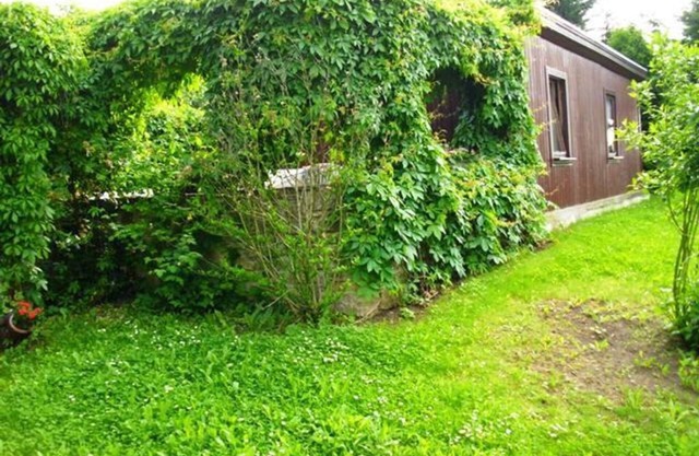 Vacation home Am Graseberg - Mr. Strauchmann - Holiday home Am Graseberg