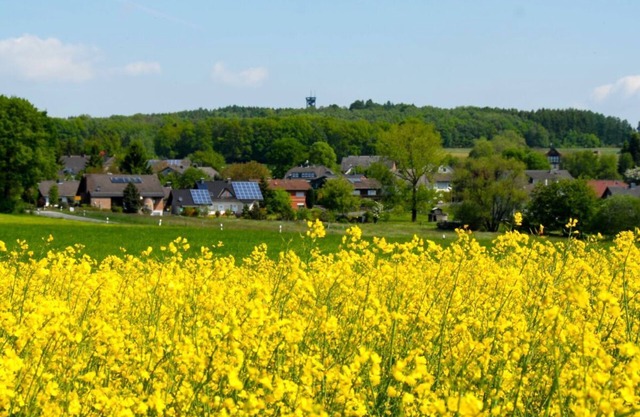 Vacation home Beulskopf - relaxing in nature