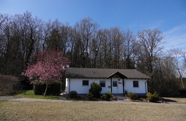 Vacation home Boszicht Fenced garden, dogs allowed (max. 2)