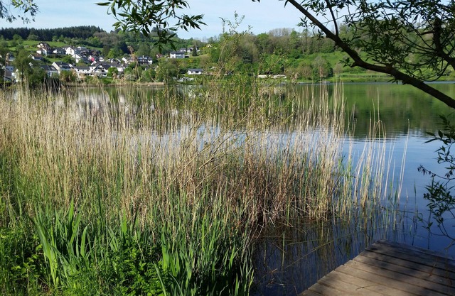 Vacation home Eifelhöhe with Maar panoraman