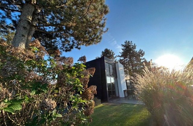 Vacation home for 6 guests with 62m² in Hulshorst (270556)
