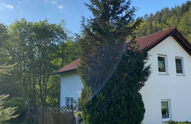 Vacation home Forellennest am Waldrand - 6-bed vacation home, 2x bath/WC, 3