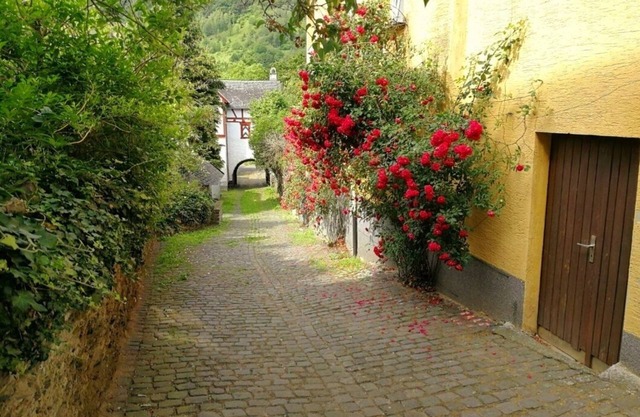 Vacation home Gisela on the Moselle