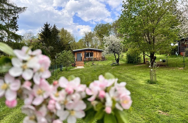 Vacation home II Zittertal Neustadt Harz with large fenced garden