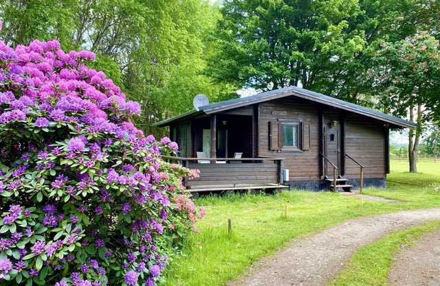 Vacation home on a riding stables