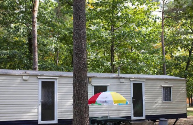 Vacation home Oostappen Vakantiepark Arnhem in Arnhem - 6 persons, 3 bedrooms