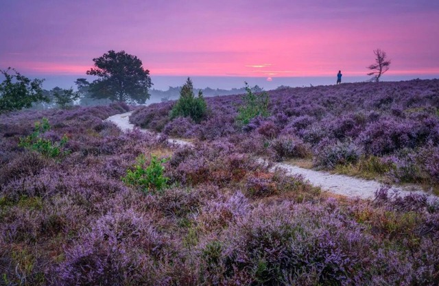Vacation home Sallandse Heuvelrug, Hellendoorn, Zwolle in nature with Luxe Hottub