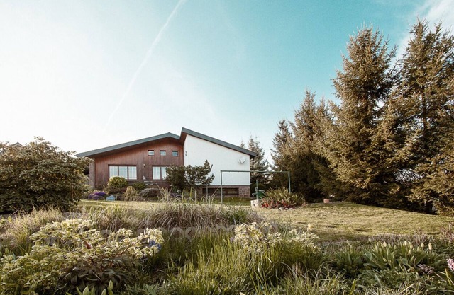 Vacation home Tannenblick in Rochlitz - Stylish architect-designed house in the countryside