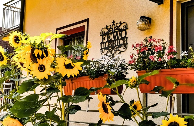 Vacation Home "Ulbrich" with Private Terrace, Balcony & Wi-Fi