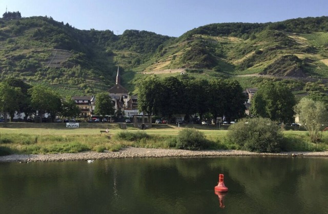 Vacation home Weinblatt with Moselle view