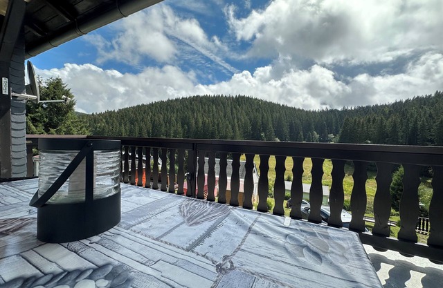 Vacation home with large terrace in the Thuringian Forest