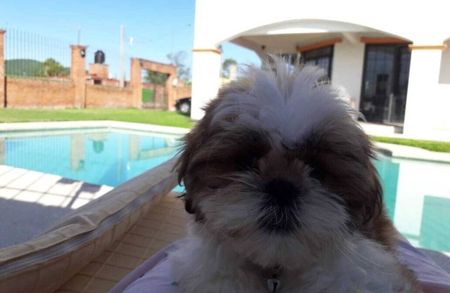 VACATION HOUSE IN CUAUTLA