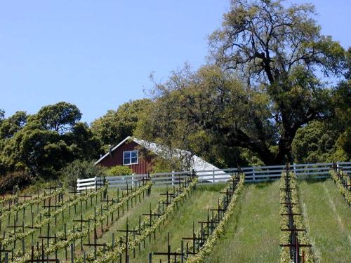 Vacation Rental with Spa and Pool on Winery near Healdsburg, California