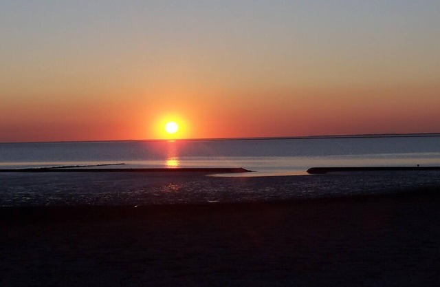 Vacation rentals and horse riding in beautiful East Frisia