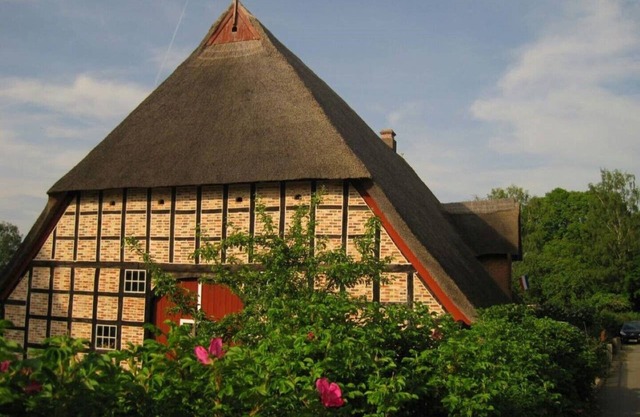 Vacation under thatch