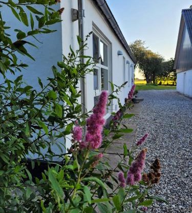 Vakantiewoning Denemarken