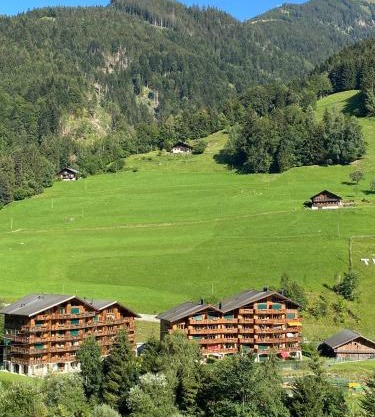 Val D’Illiez mountain apartment.