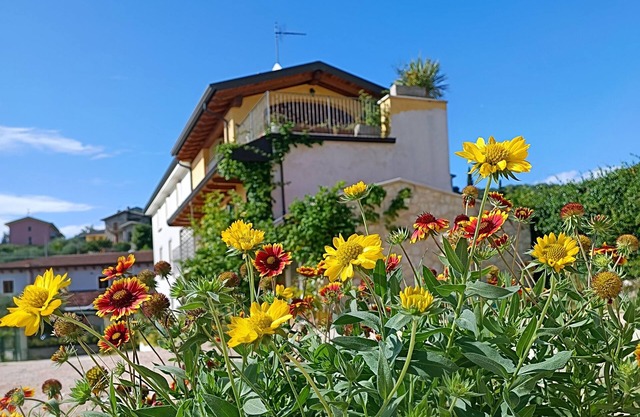 Valpolicella Valley~ residence La Palma Negrar