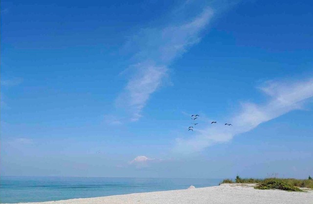 Venice Island's Paradise By The Sea