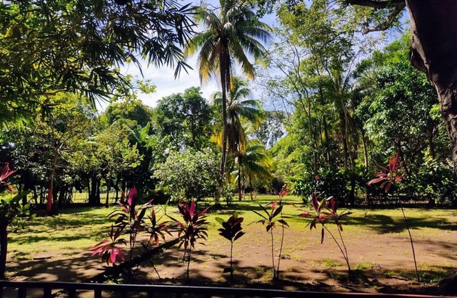 Verdant's haven. Fully equipped modern villanAC, opt.fiber, amazing surroundings