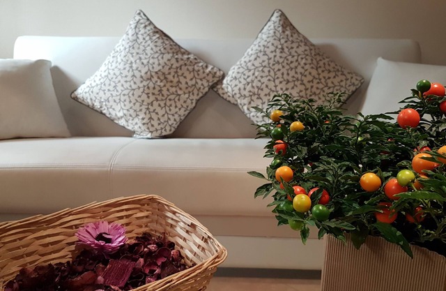 Veronetta Lovely Apartement - Verona