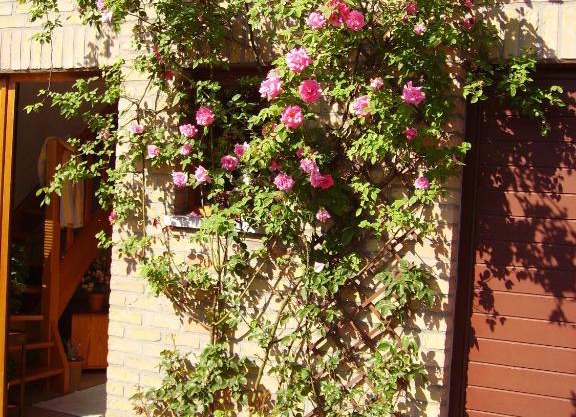 Verviers Maison Entiere 5 adultes à 8 personnes