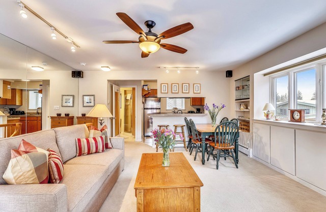 Very Nice Downtown Aspen condo w/deck
