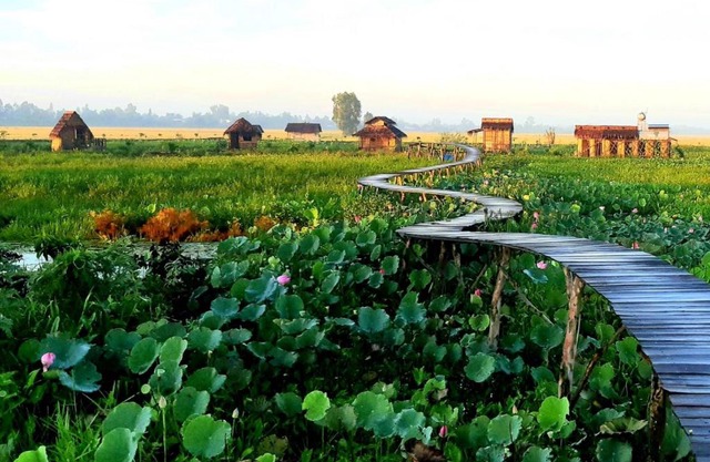 Việt Mekong Farmstay