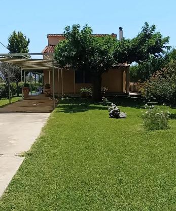 Vicky's sweet home