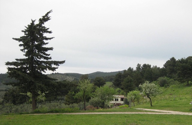 Vieste Apartment on a farm in direct contact with nature