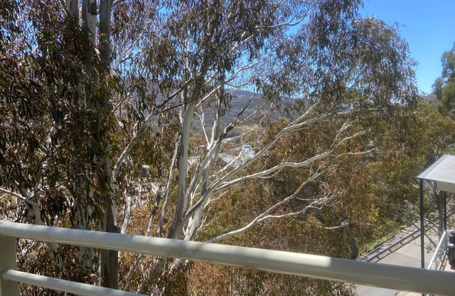 Views of the mountain