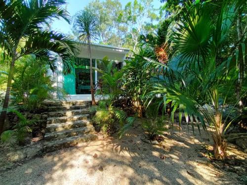 Viila Ixchel jungle pool