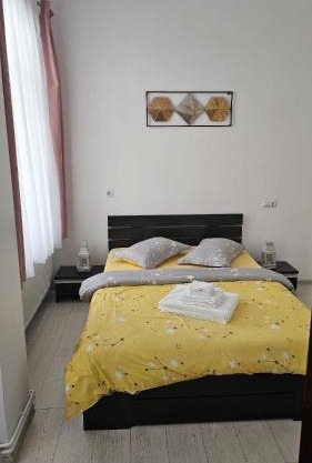 Vila Șaguna