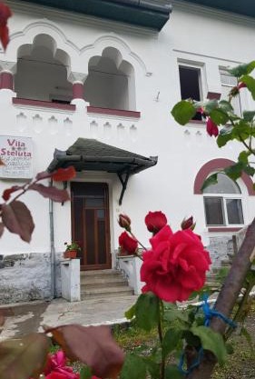 Vila Ana Lăcrămioara Concept