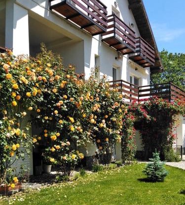 Vila Carpatina