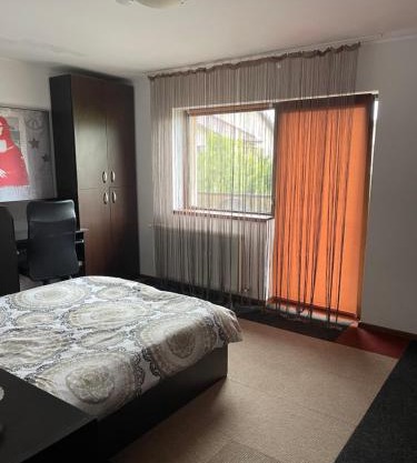 Vila cu trandafiri - Cozy Apartments Studio cu pat matrimonial