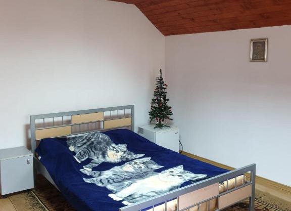 Vila Luminita